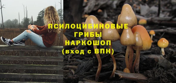 герыч Покровск