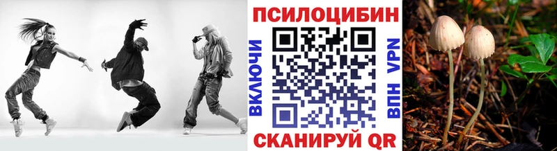 Галлюциногенные грибы Cubensis  Туринск 